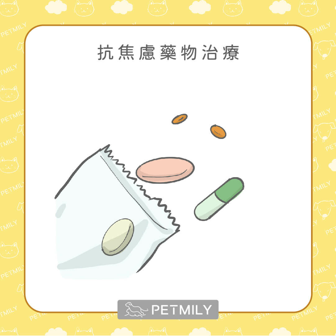 請獸醫開抗焦慮藥物
