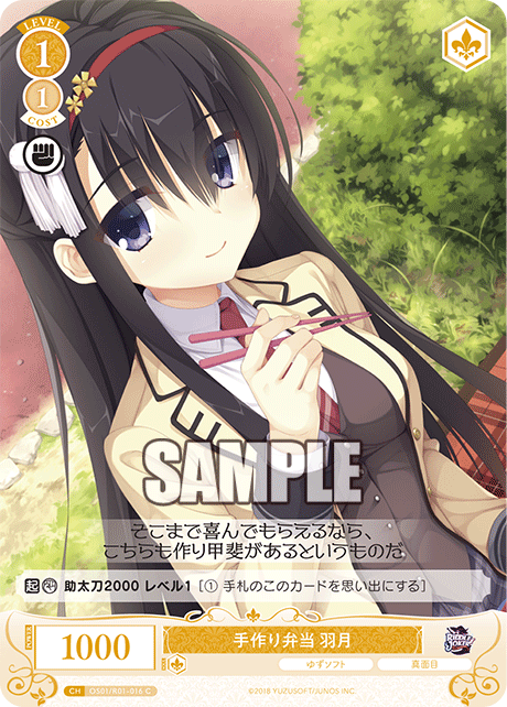 【OS01/R01-016 C】手作り弁当 羽月