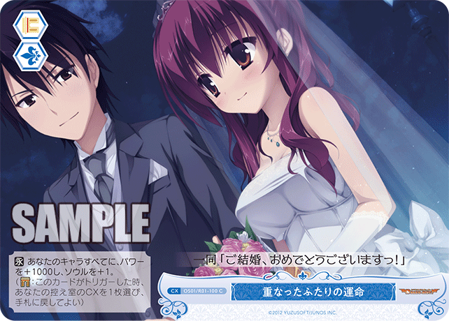 【OS01/R01-100 C】重なったふたりの運命