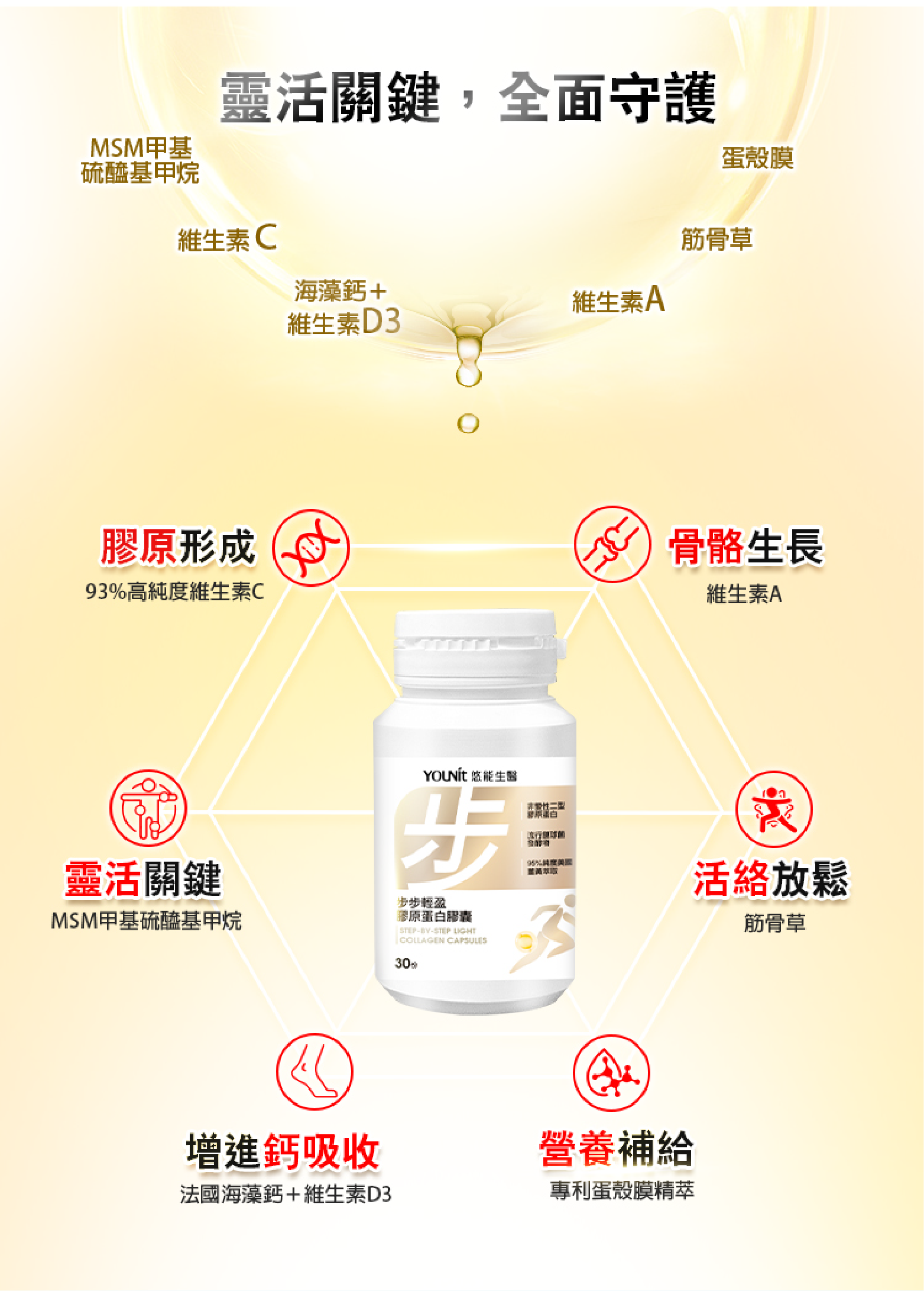 靈活關鍵 | 海藻鈣、維生素D、幫助骨骼成長