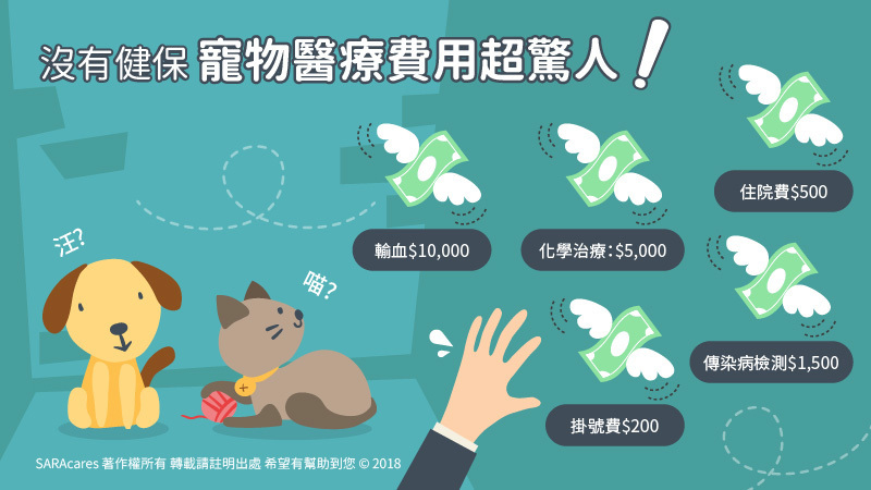 寵物沒健保，沒寵物險醫療超高