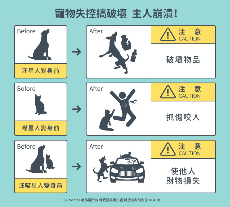 毛孩造反的賠償壓力
