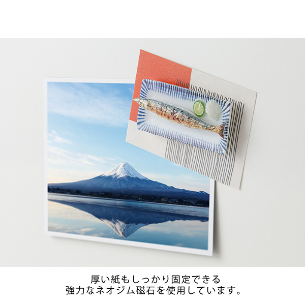 秋刀魚 日本美食造型磁鐵 強力磁鐵｜日本Midori