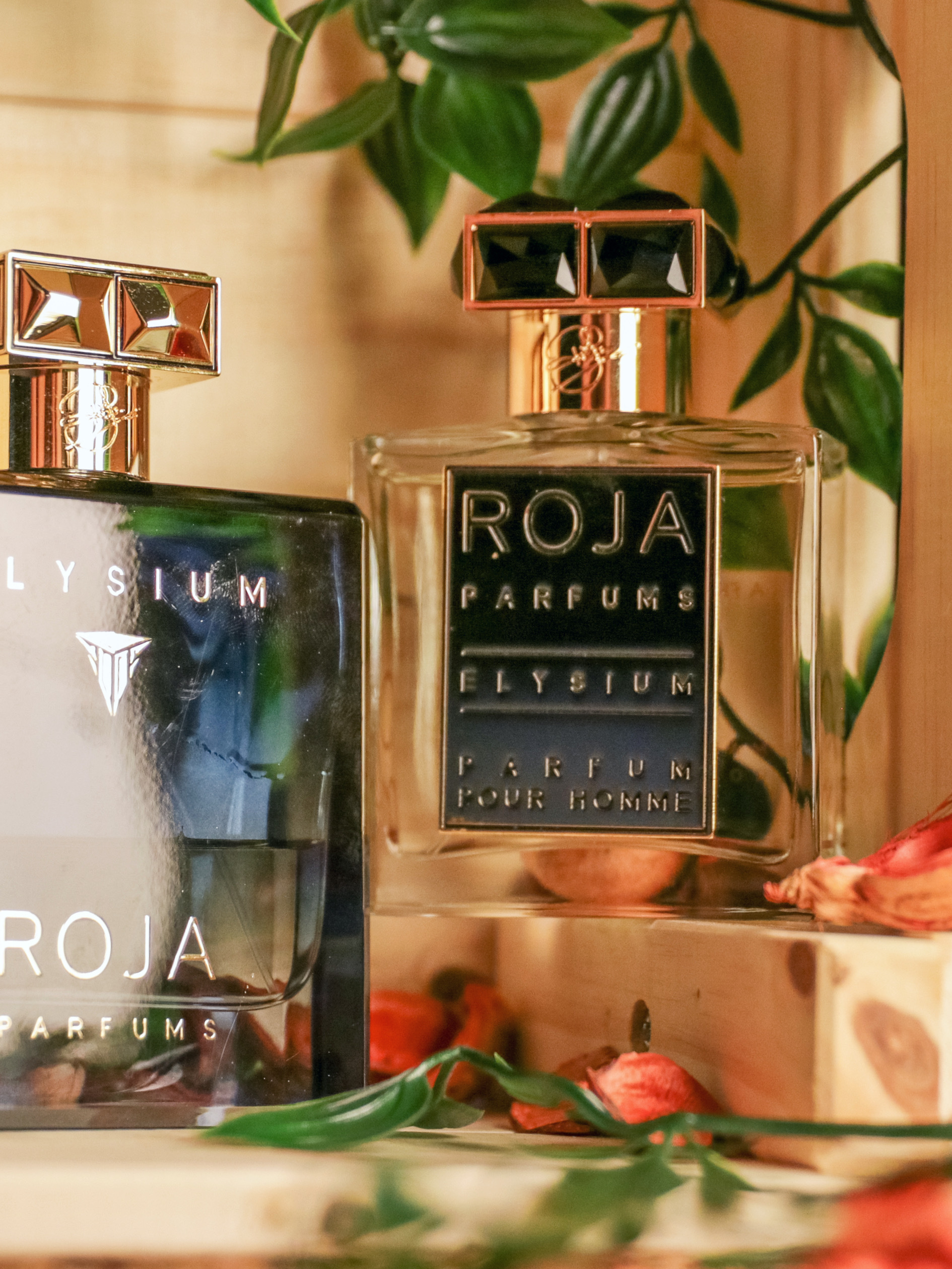 極樂世界香精版 Roja Elysium Parfum