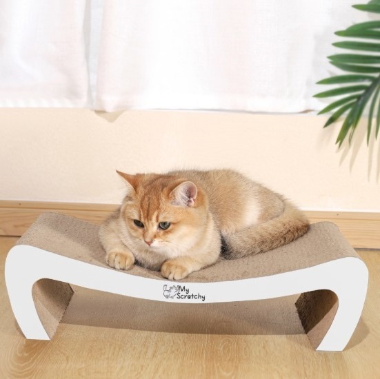 M-Pets Scratch Board White． Kansas