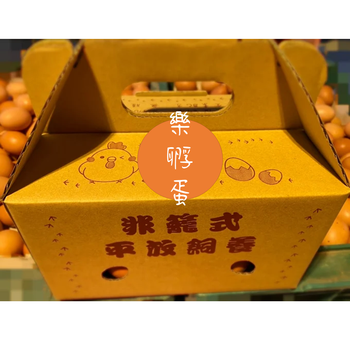 (團購)樂孵蛋(02/03到貨)