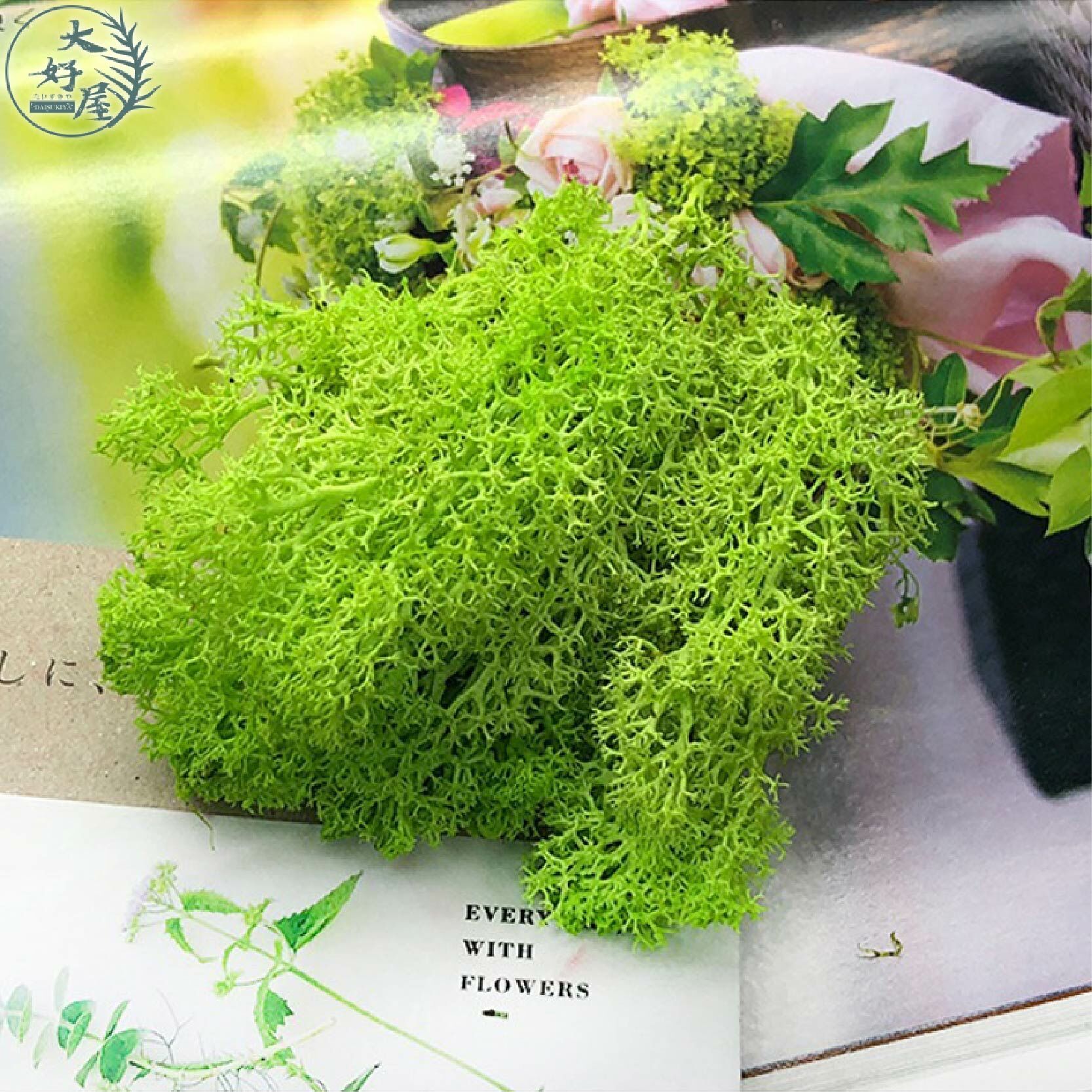 【網】永生MOSS馴鹿草 (100克裝)