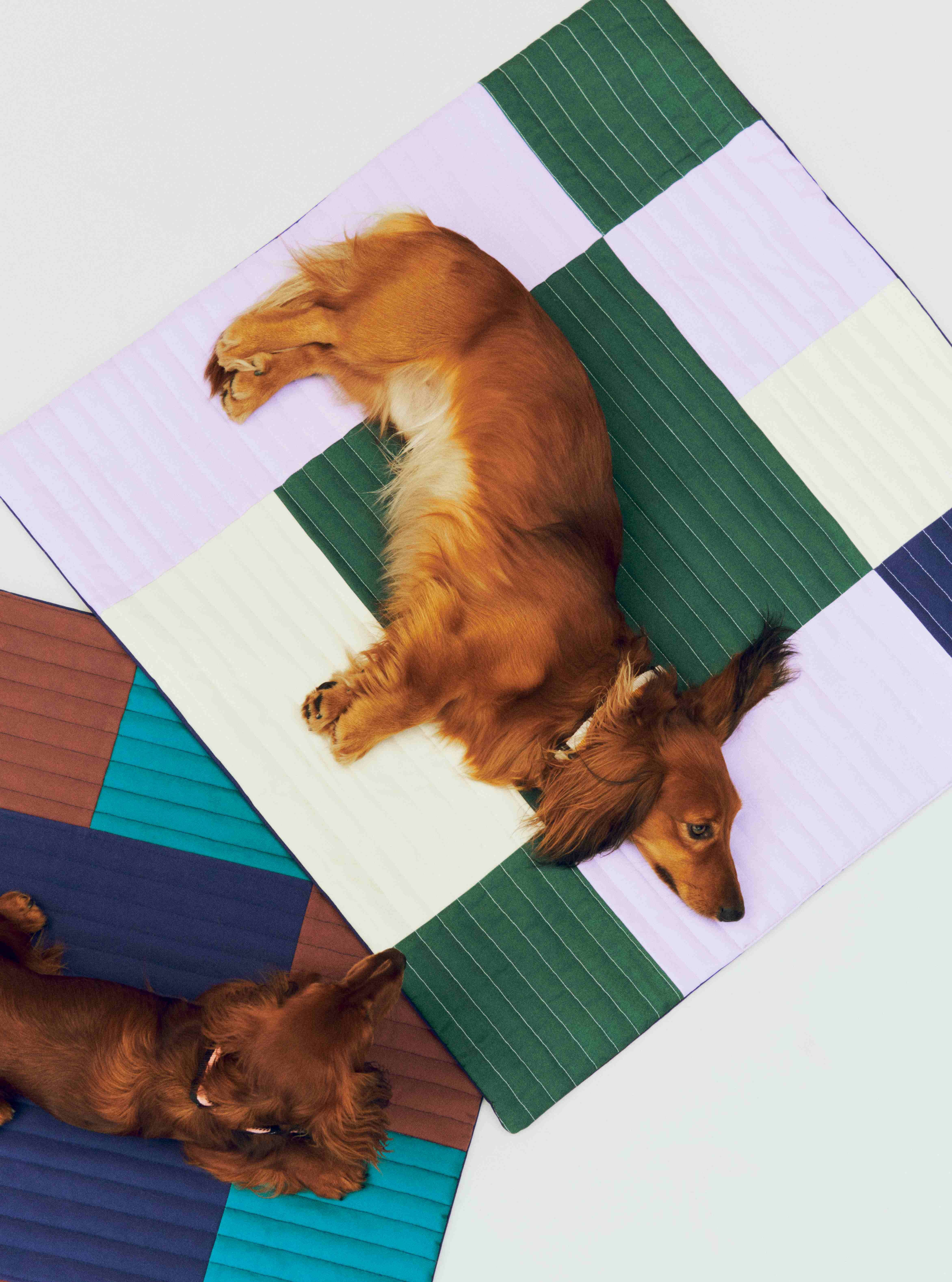 HAY Dogs Travel Blanket / 寵物旅行墊