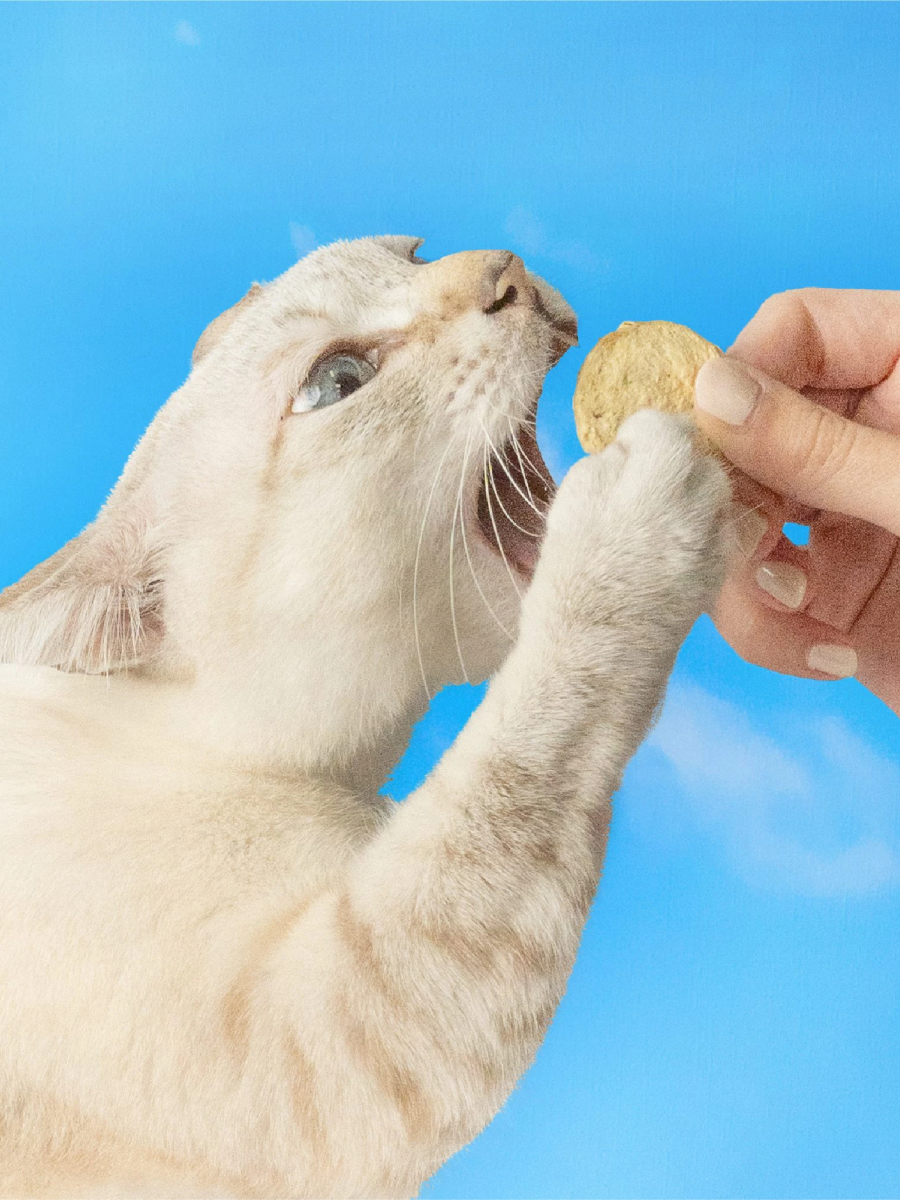 【怪獸部落】貓用 開胃山海鮮肉餅 凍乾主食｜雞肉蝦仁