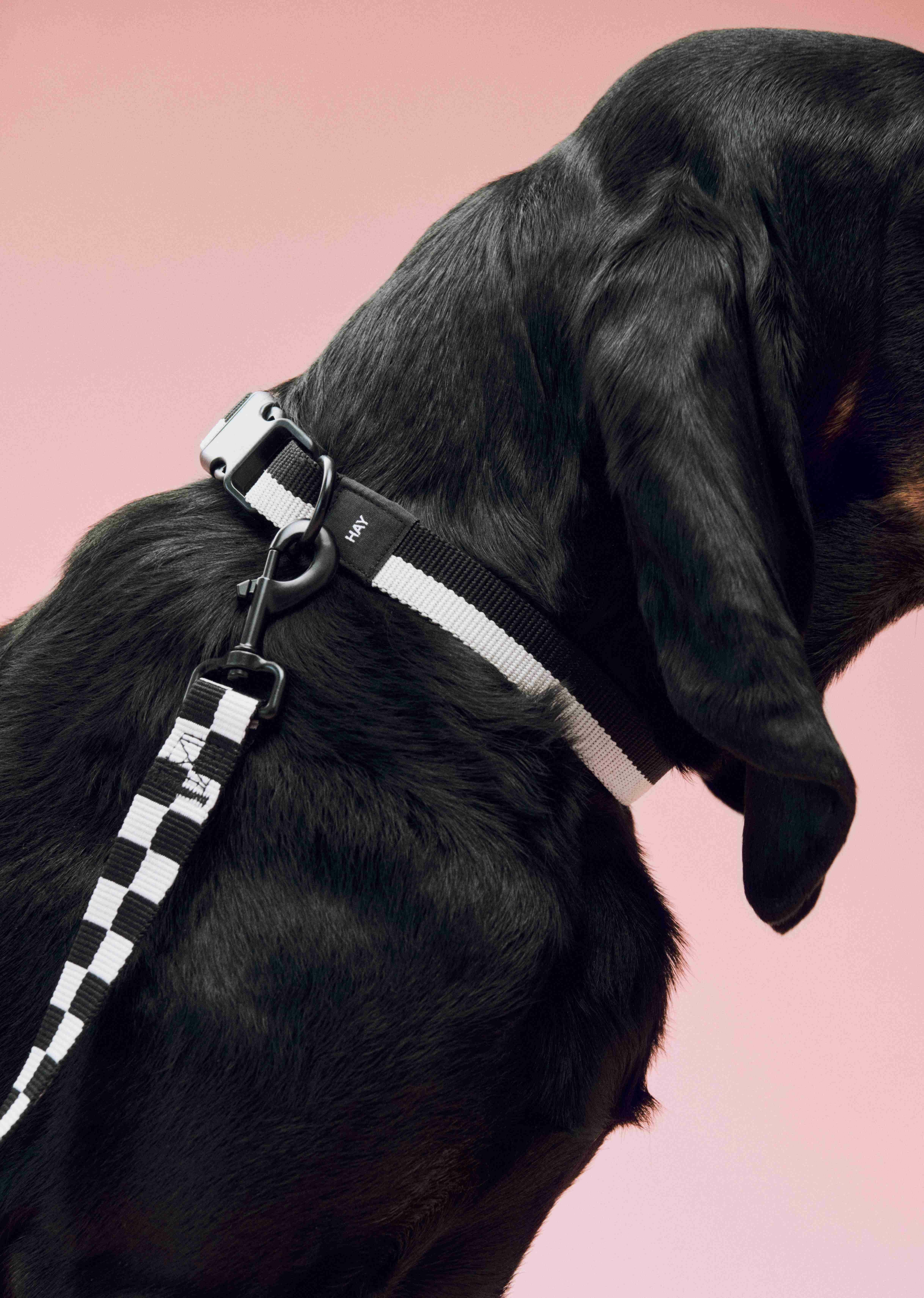 HAY Dogs Leash Flat Check M/L / 寵物方格牽繩