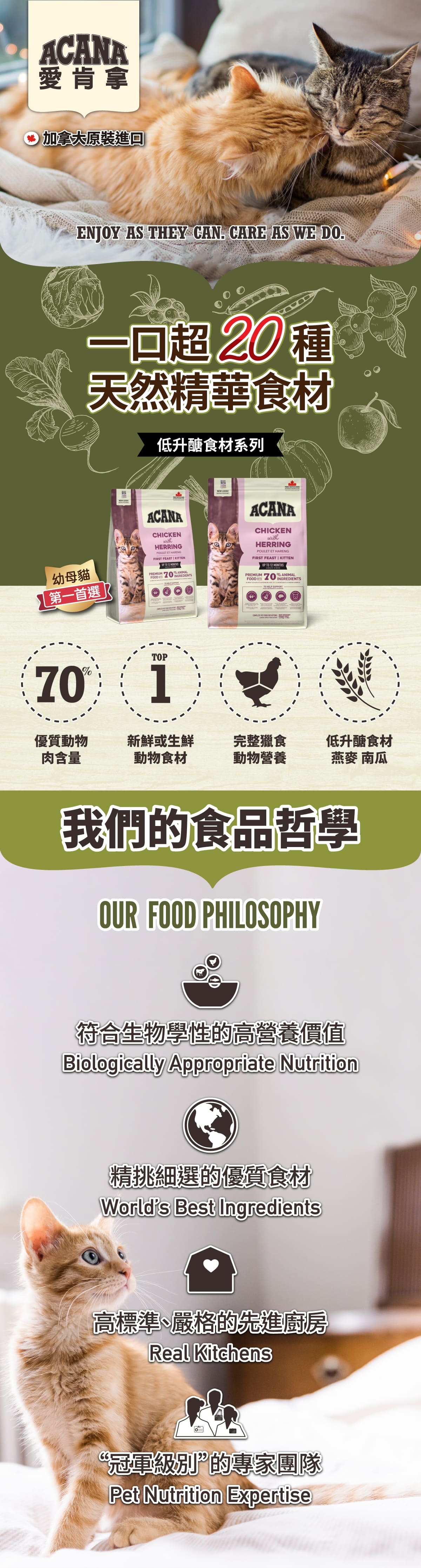 第一盛宴-低GI配方-幼母貓飼料-愛肯拿-ACANA