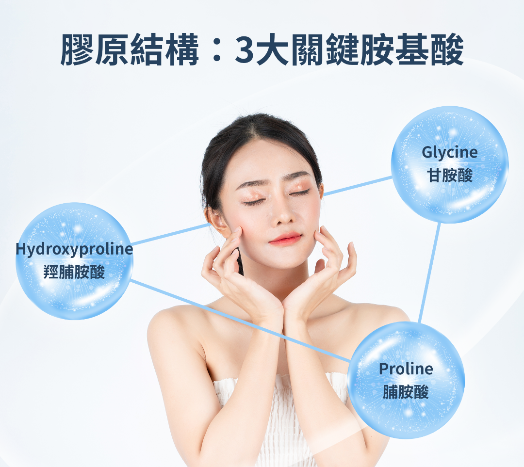 膠原結構:3大關鍵胺基酸
