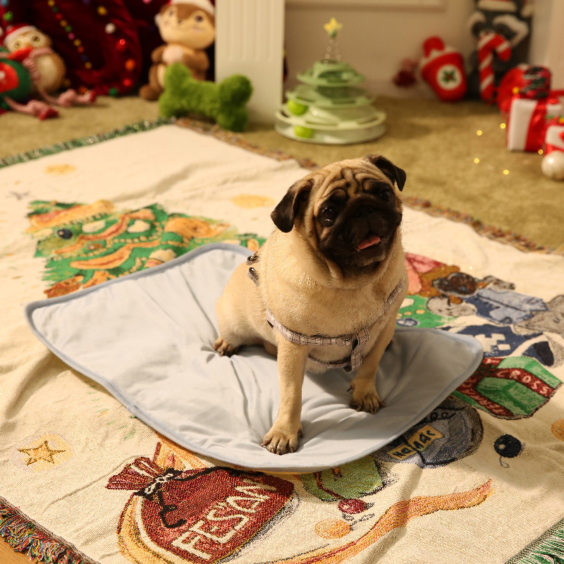 寵物用涼感墊/S 60×45cm