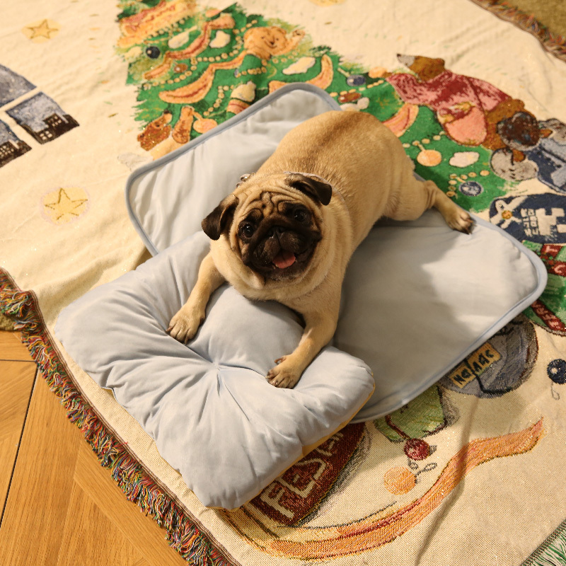 寵物用涼感坐墊/M 50×40×5cm