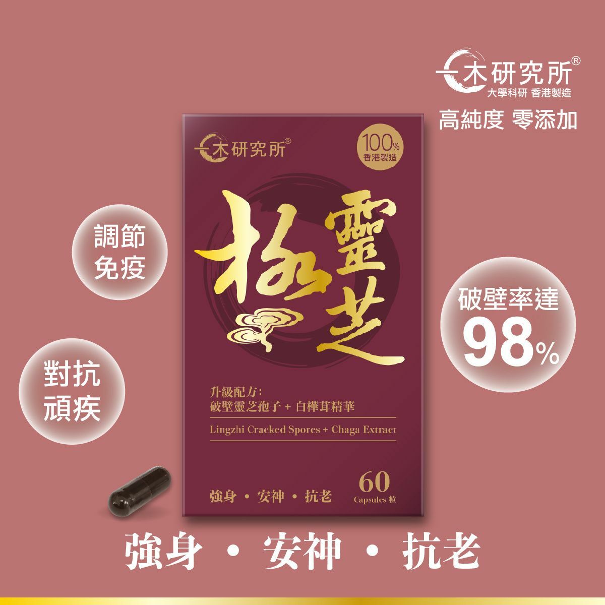 ICHIKI 一木研究所 - 極靈芝 60粒  (食用期限至2027年2月6日)