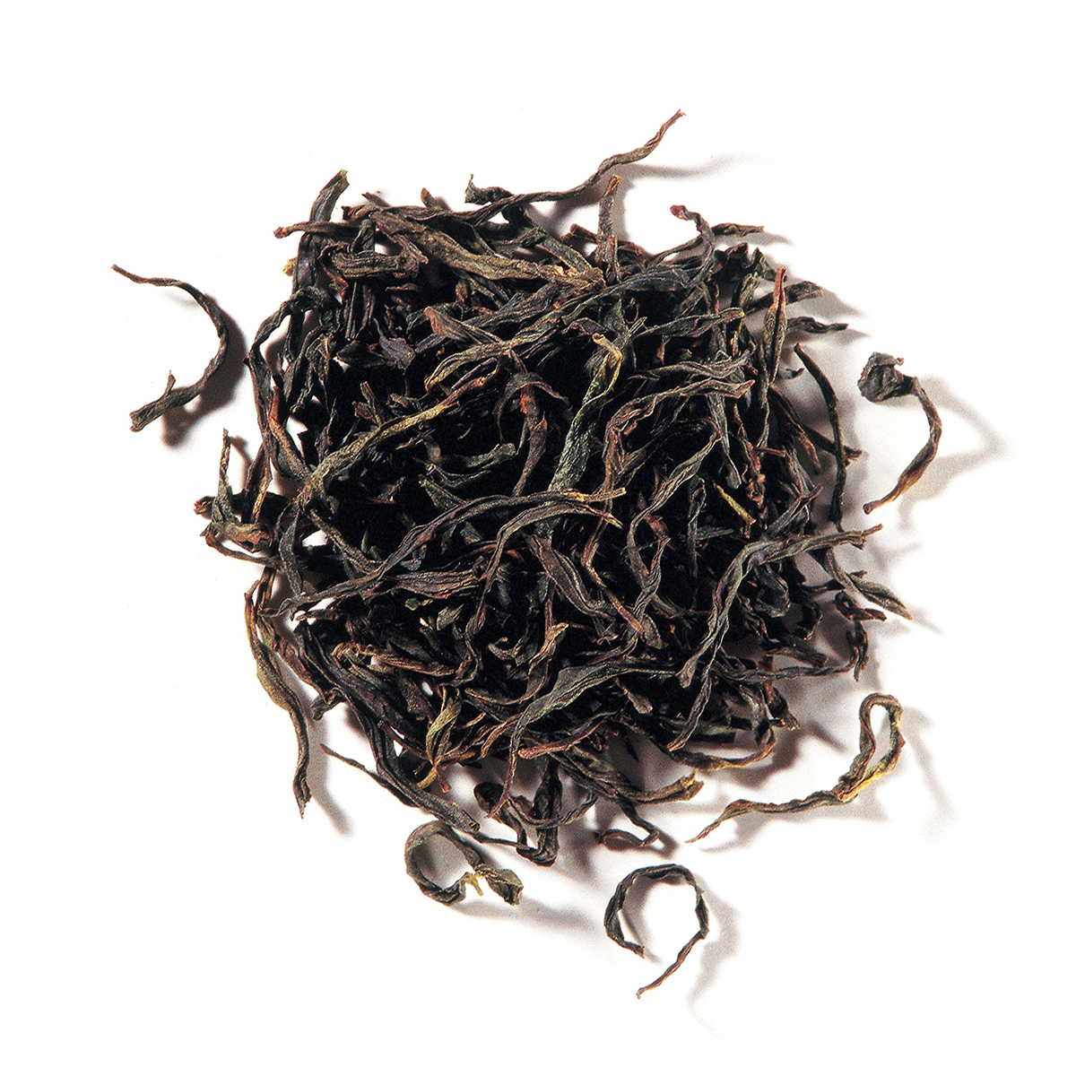 MingCha phoenix osmanthus