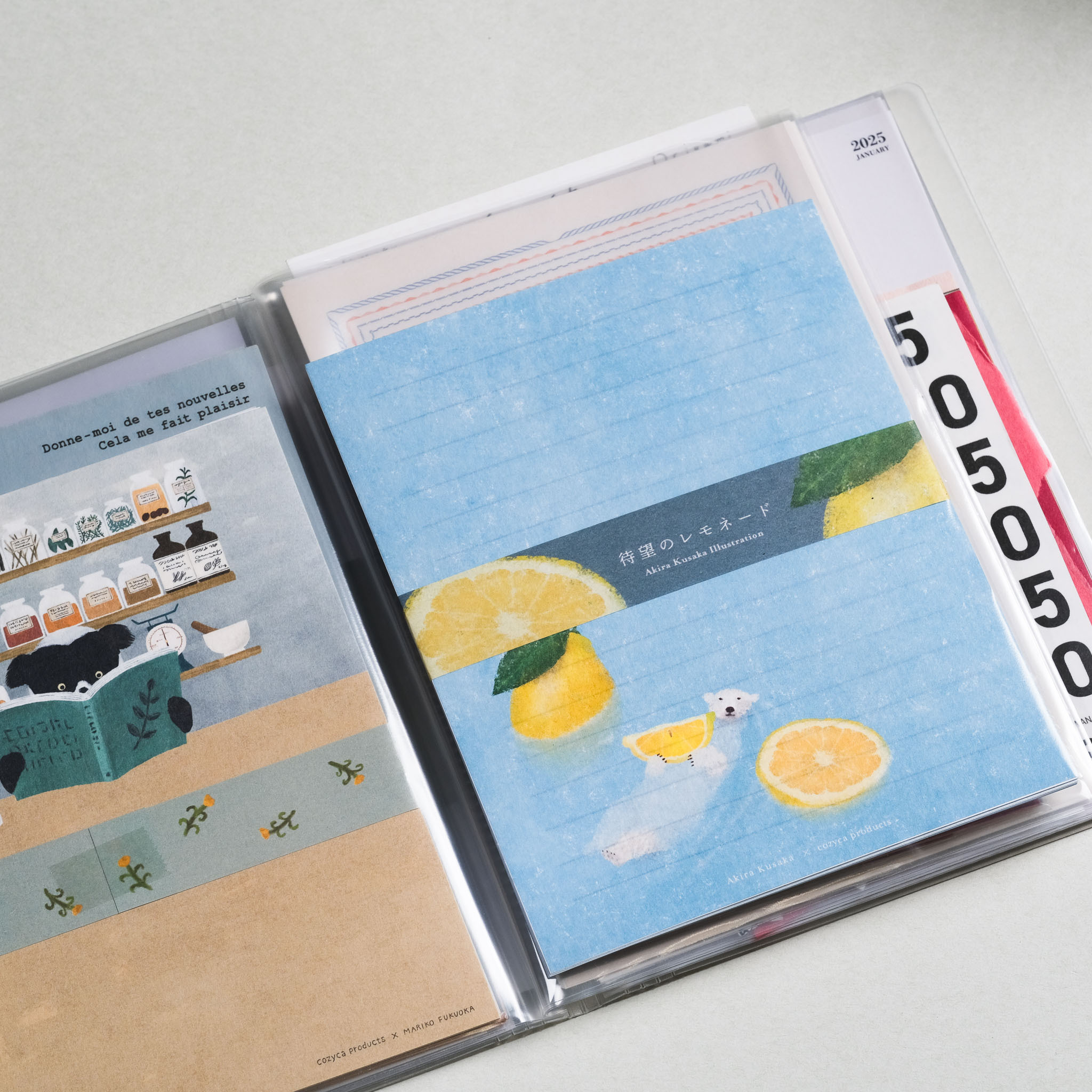 NOViTA 收納資料夾 A5 20枚｜KOKUYO 日本