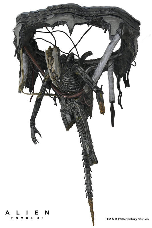 預購25/06 NECA 代理版 7吋 異形:羅穆路斯 Xenomorph XX121 實驗室懸吊版