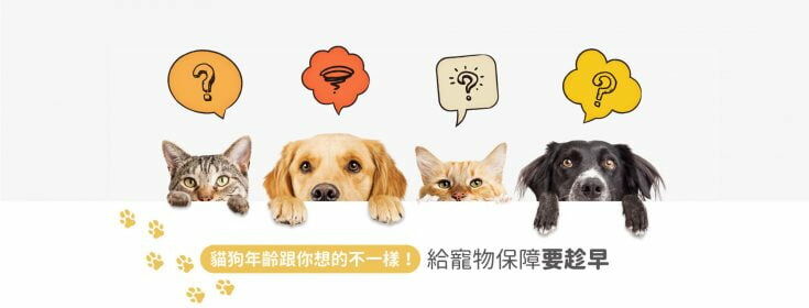 貓狗年齡算法大不同