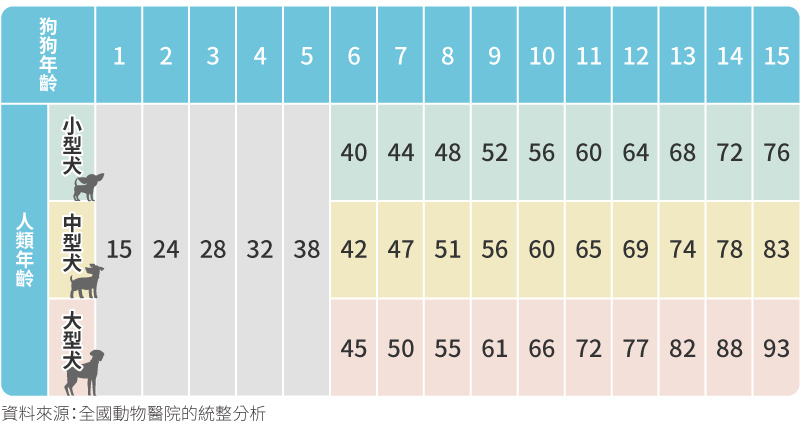 各體型犬種年齡換算表