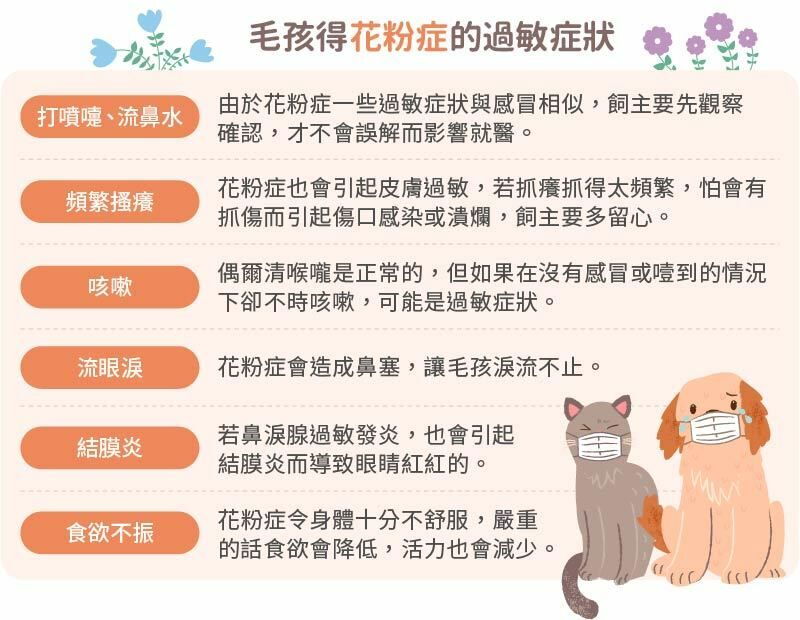 毛孩花粉症過敏症狀