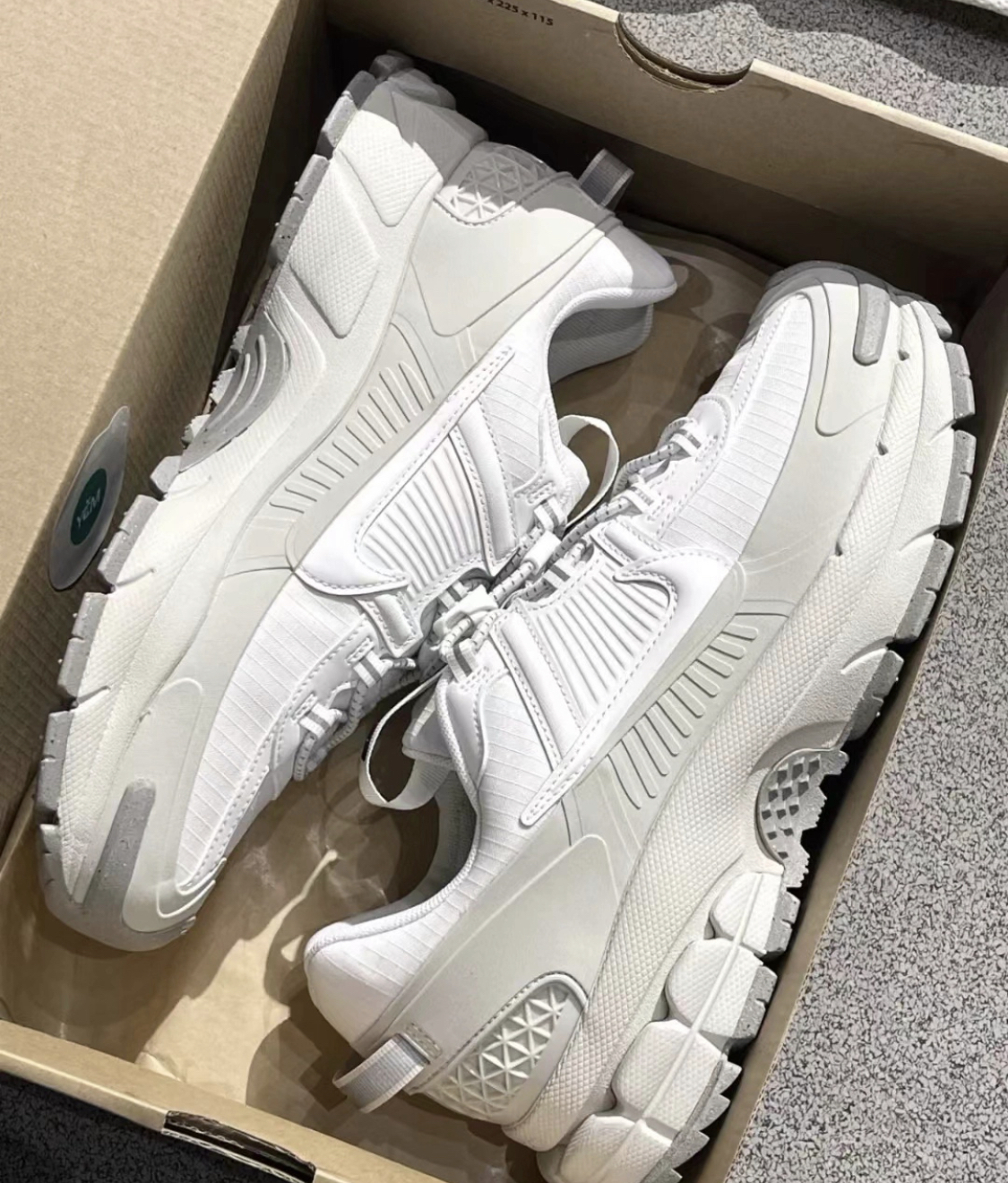 【APAIR】預購 Nike Zoom Vomero Roam 灰白 戶外 防水 機能 男 HV5951-100 女 HV6410-100