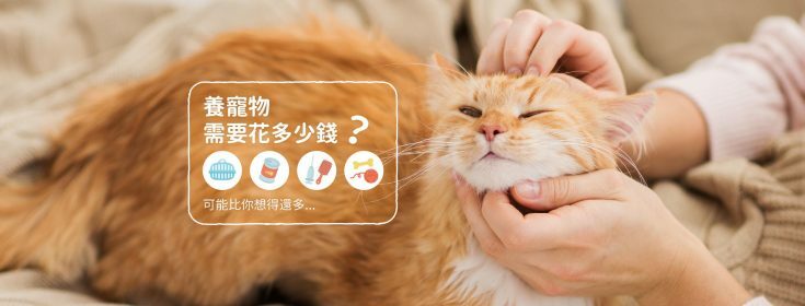 養貓養狗需要的5大開銷