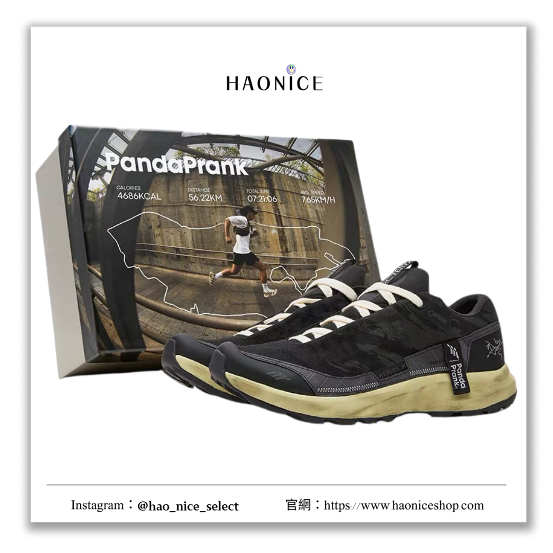 【HAO NICE】熊貓惡作劇系列 ❗️配合FAKEBUSTERS驗鞋 ❗️ Arcteryx始祖鳥 Aerios FL GTX街頭跑者系列 掠影訂製 低筒跑步鞋🔥