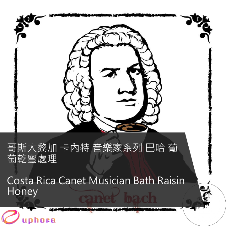 哥斯大黎加 卡內特 音樂家系列 巴哈 葡萄乾蜜處理