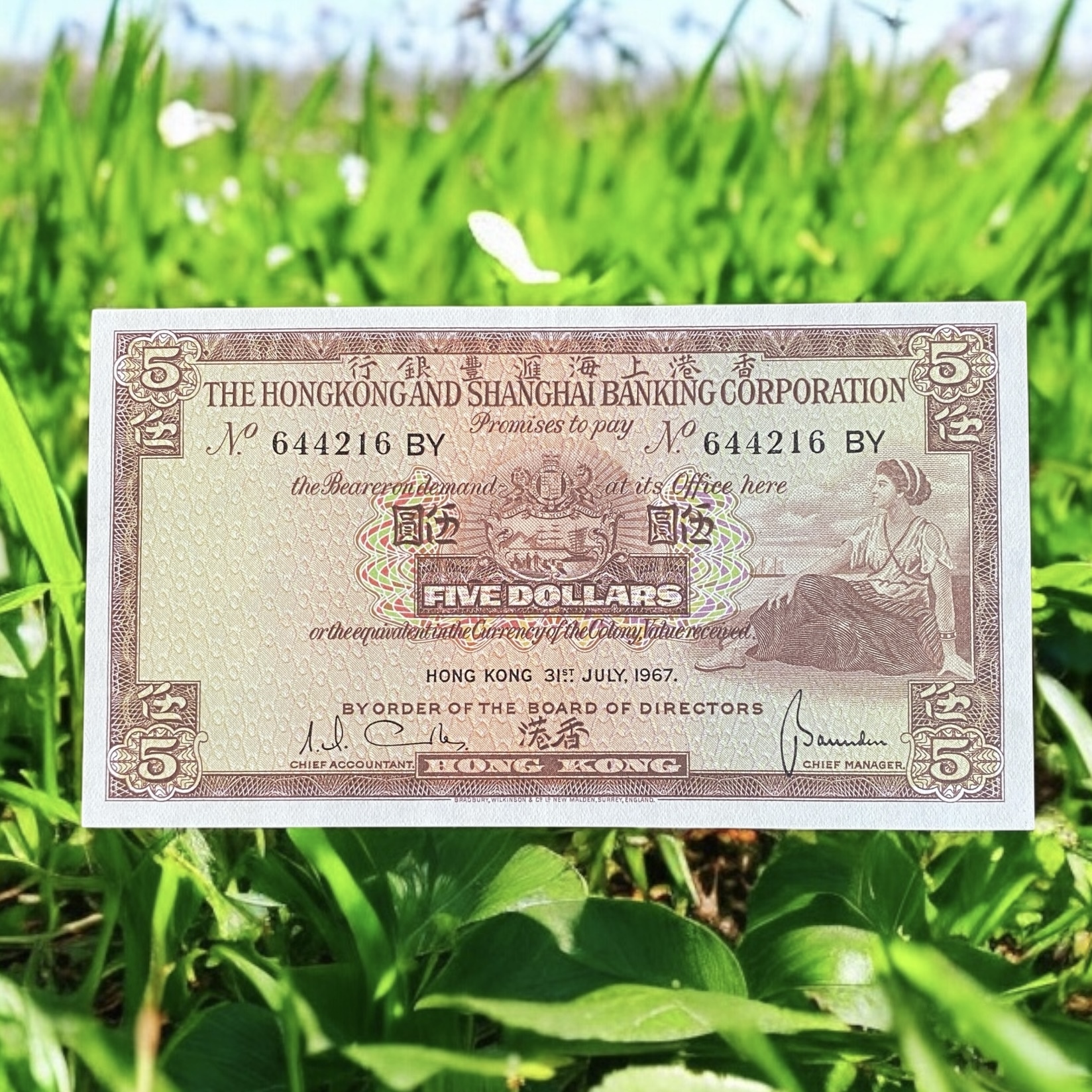 July 1967 HSBC $5 banknote (AU Condition) BY644216