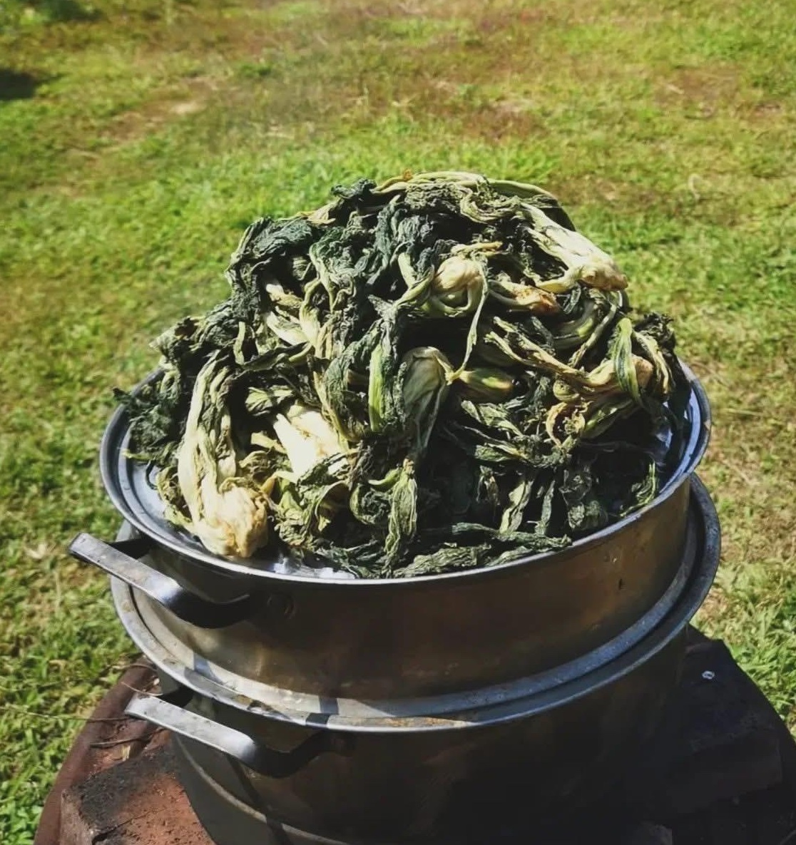 鄉騲習作 - 安心漬菜小伙伴 (無化學農藥/添加物）