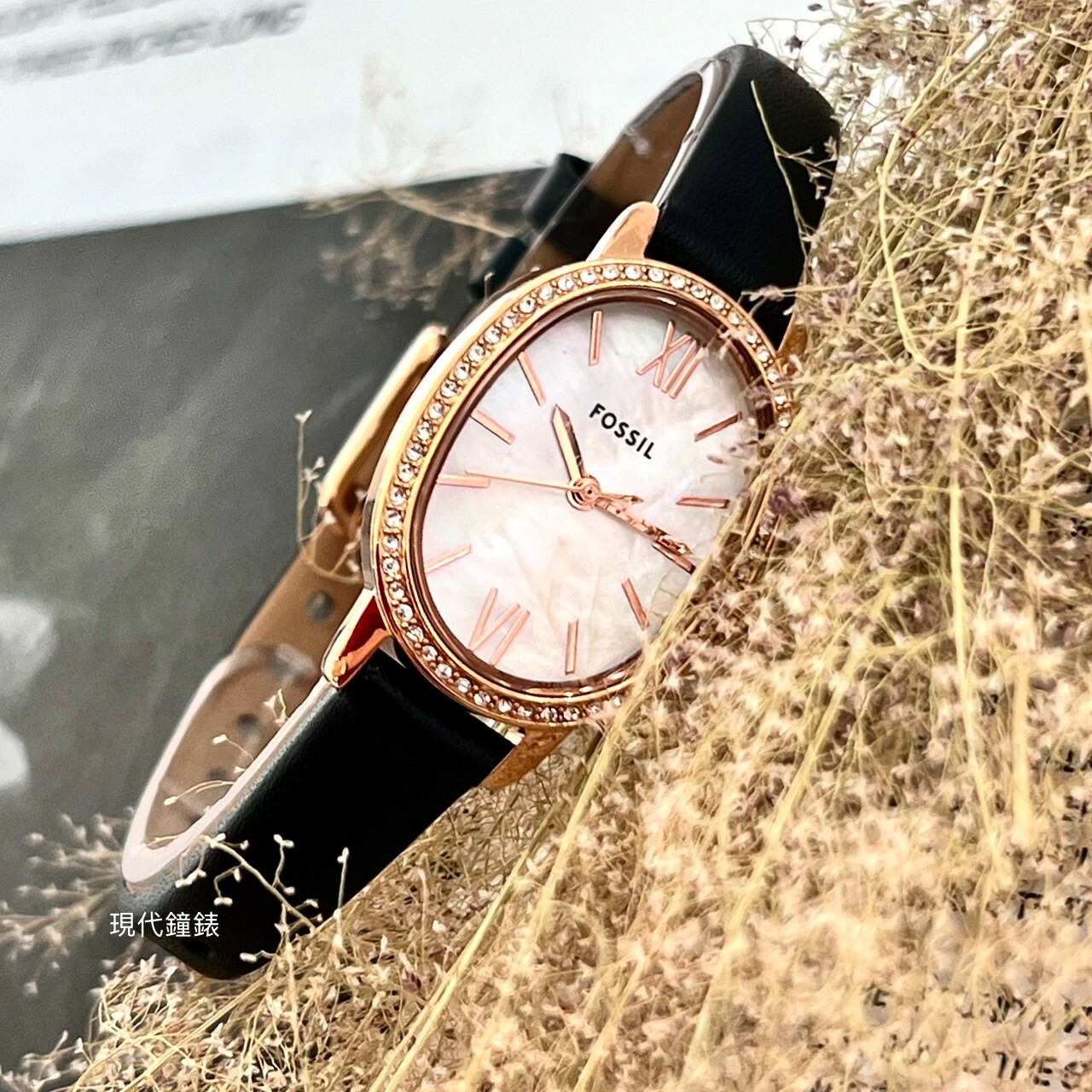 【FOSSIL】BQ3974 23mm Modern Watch