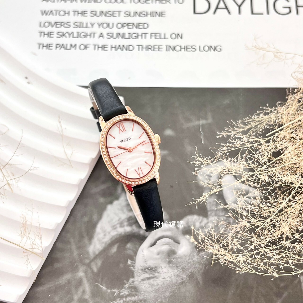 【FOSSIL】BQ3974 23mm Modern Watch