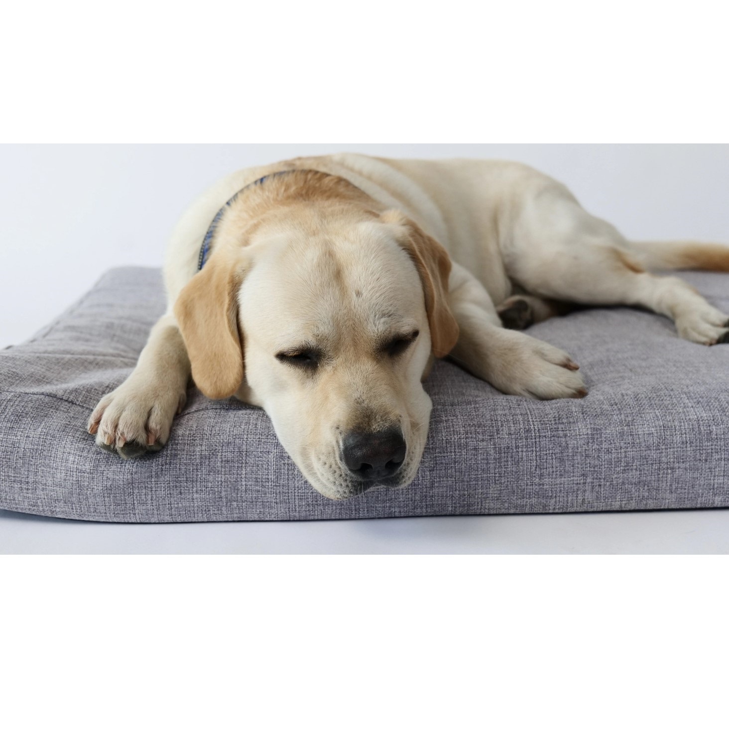M-Pets Oleron Mat Cushion Dary Grey Small