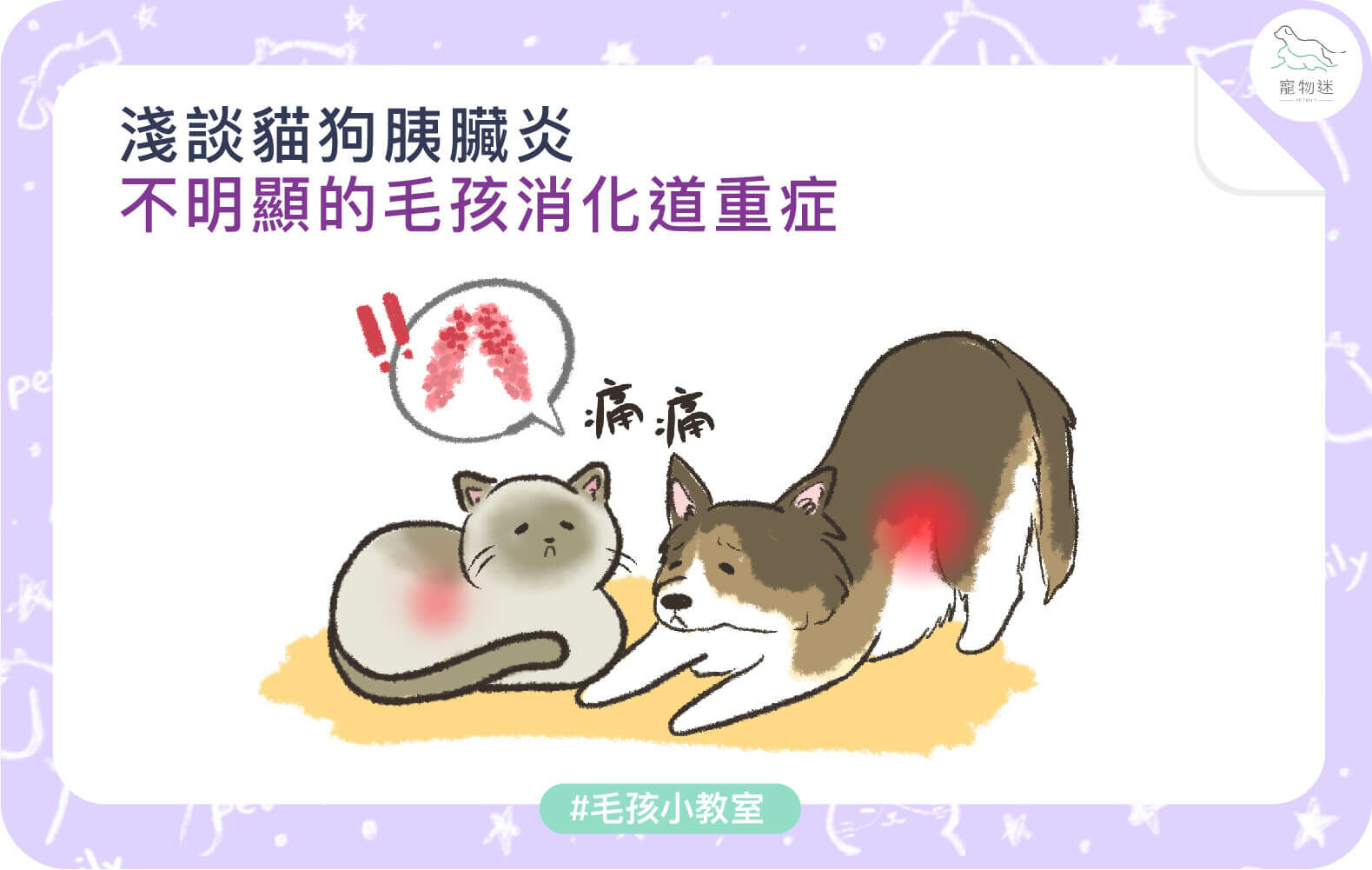 貓狗胰臟炎