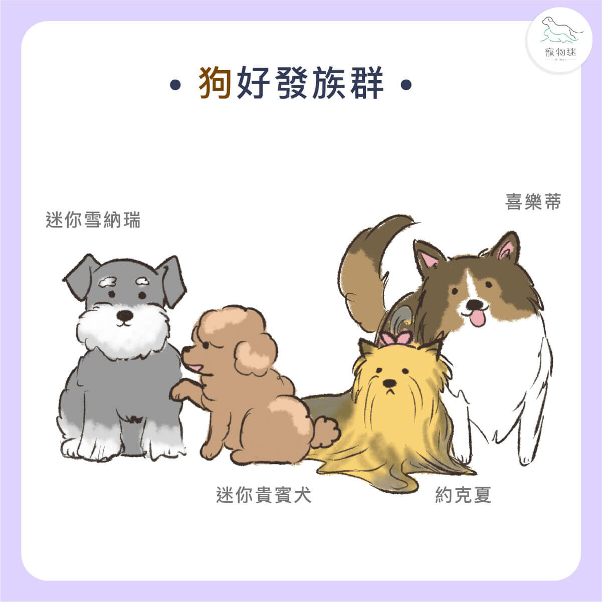 狗胰臟炎好發族群