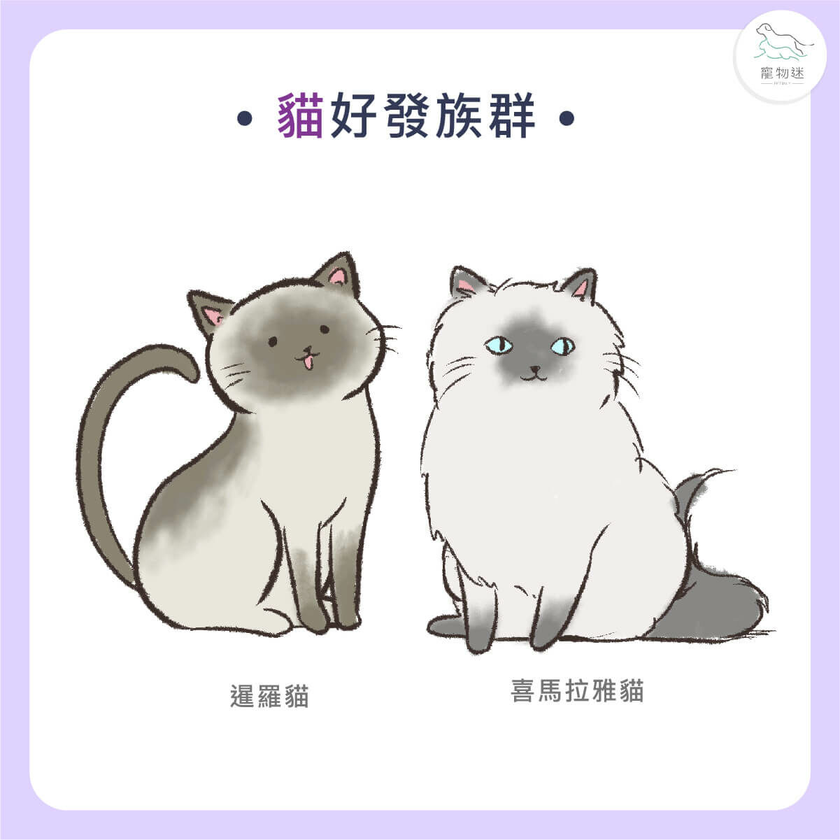 貓胰臟炎好發族群