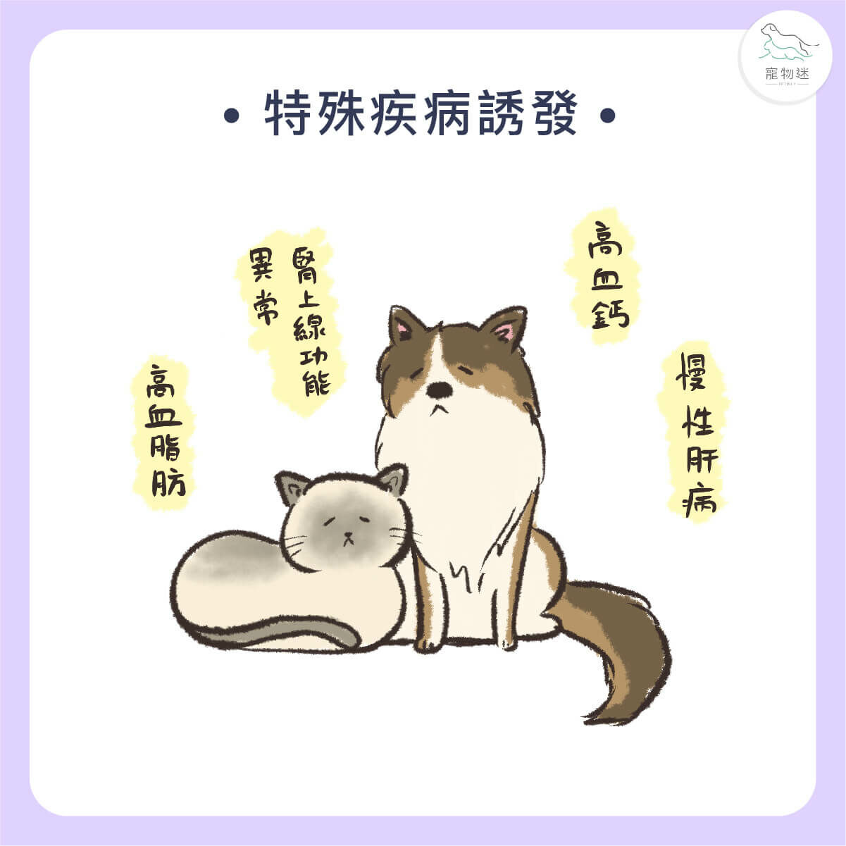 特殊疾病誘發胰臟炎的貓狗