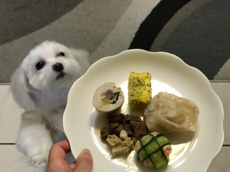 狗狗年菜主角1