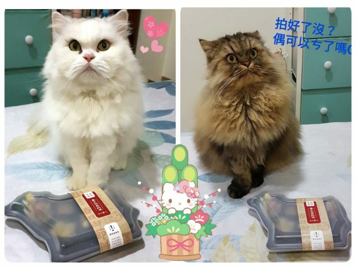 2隻貓主子和貓咪年菜