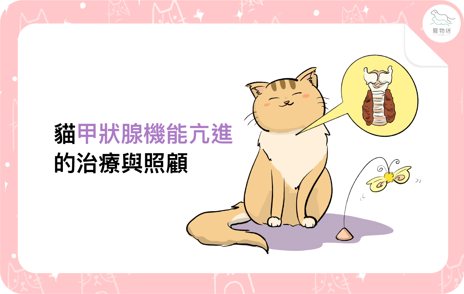 貓甲狀腺機能亢進