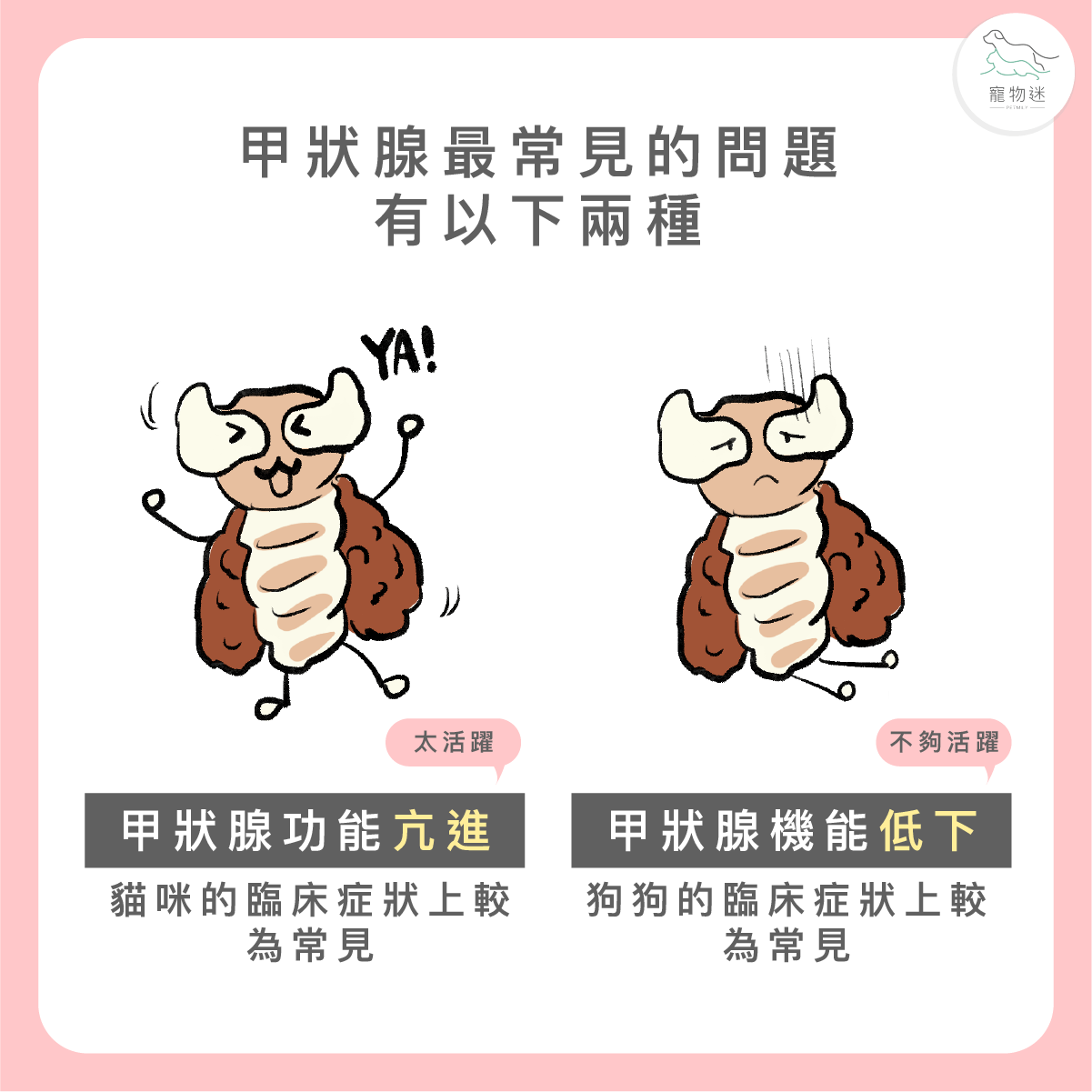 甲狀腺兩種症狀