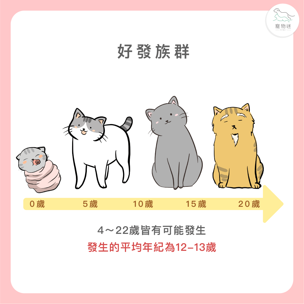 貓甲狀腺亢進的好發族群