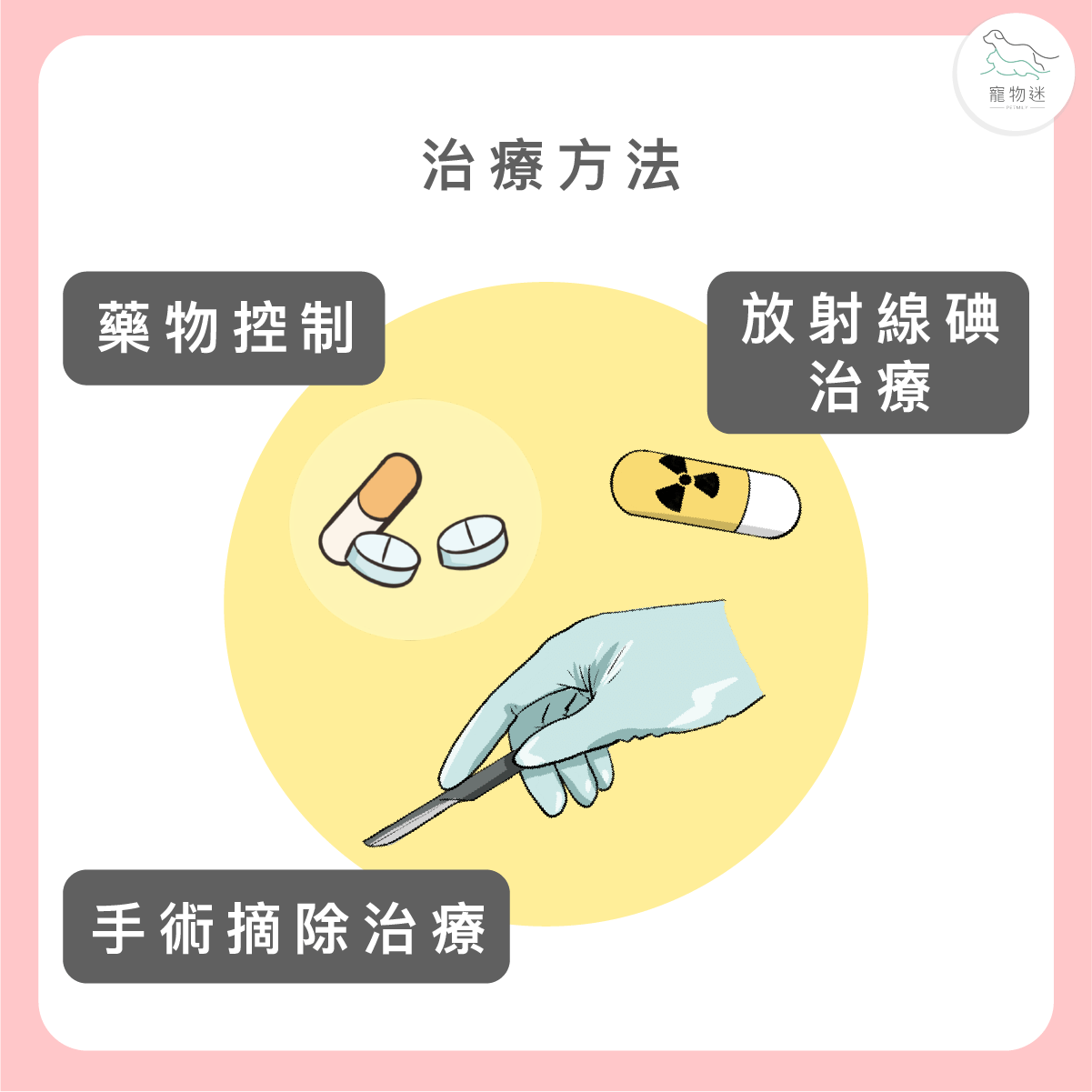 貓甲狀腺亢進要怎麼治療