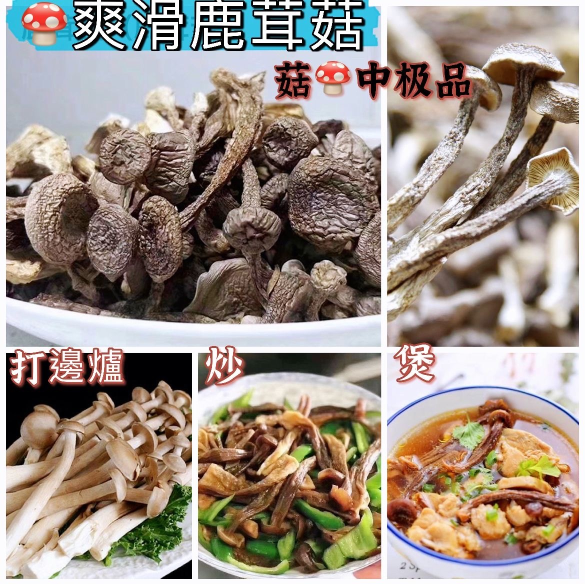 鹿茸菇300g