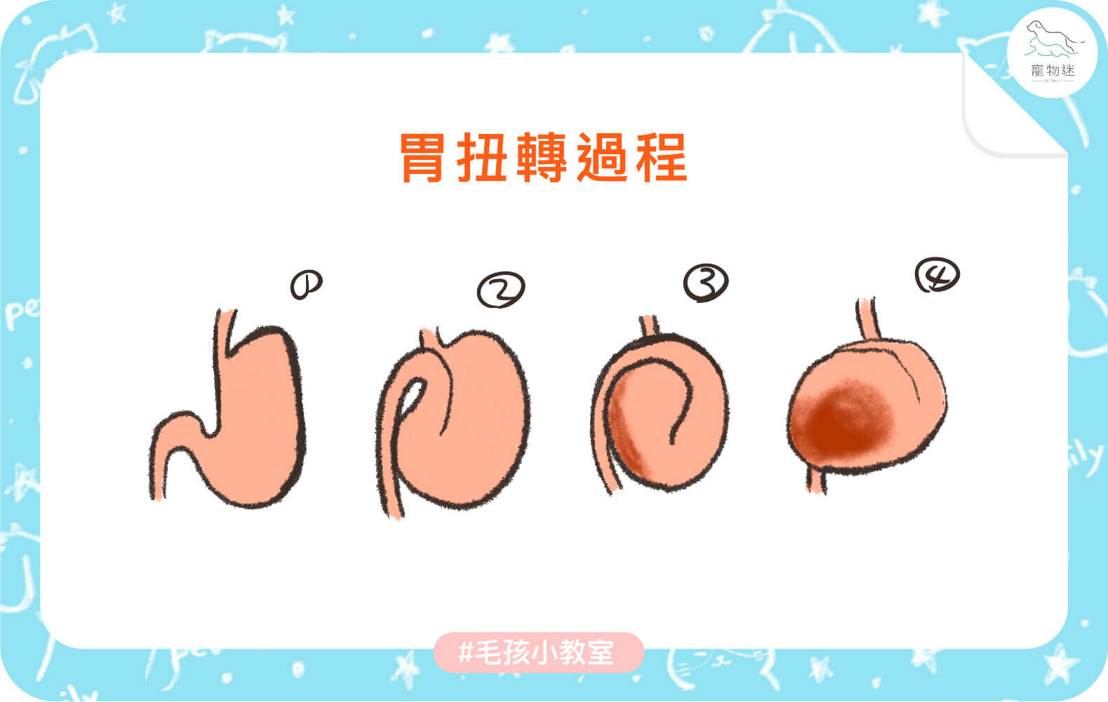 甚麼是狗胃扭轉