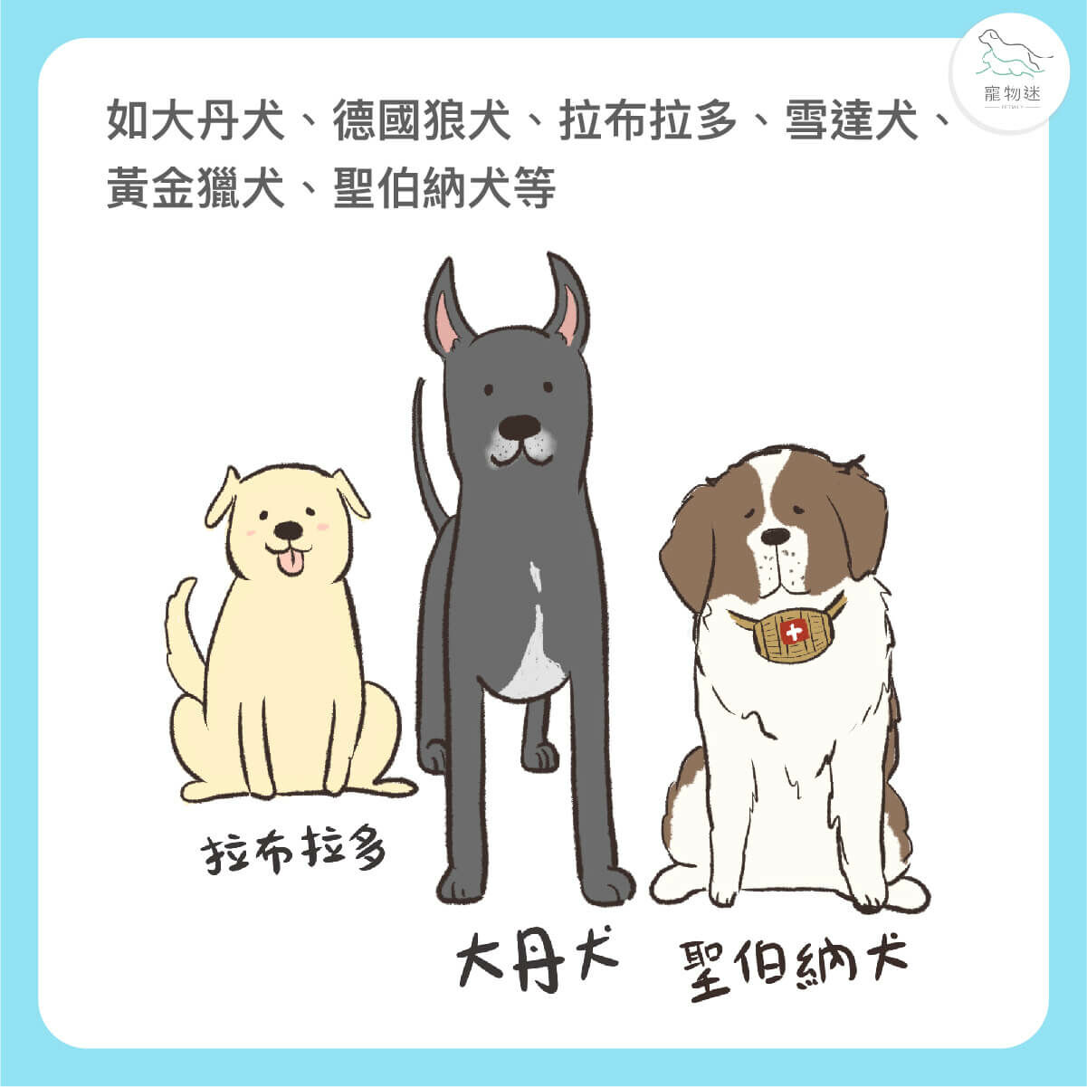 狗胃扭轉高風險族群