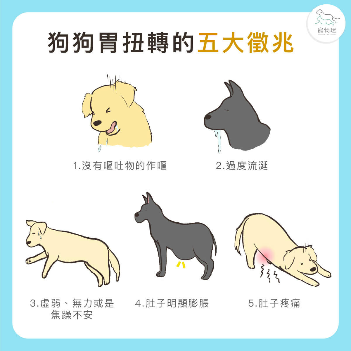 狗胃扭轉會有甚麼徵兆