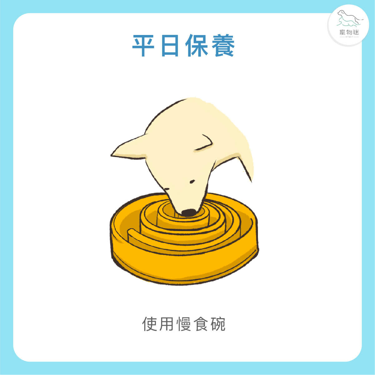 選用慢食碗