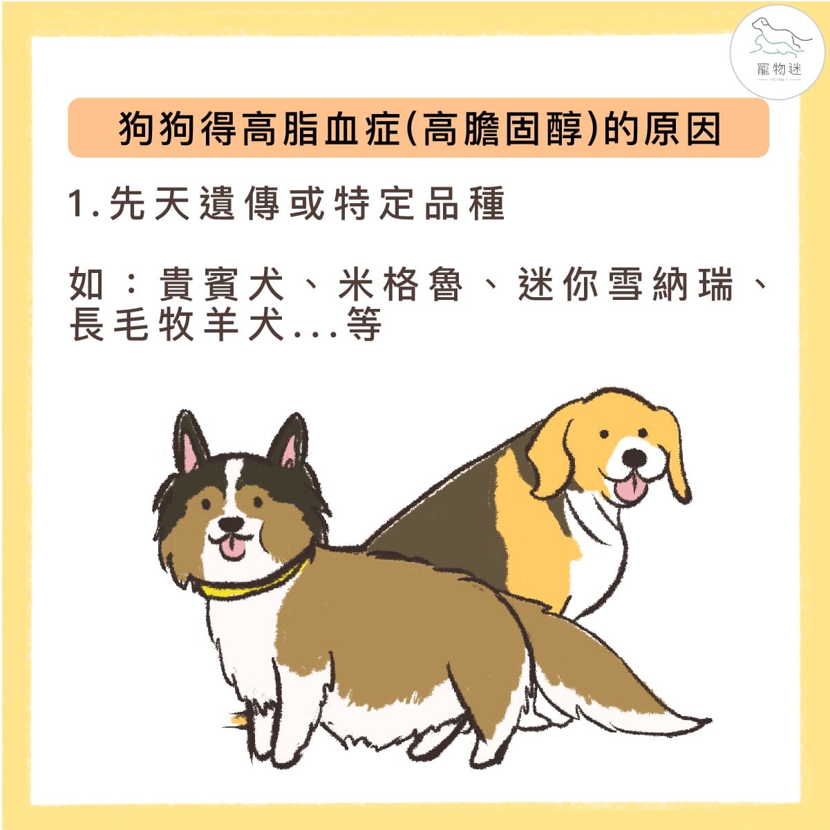 狗狗高膽固醇的特定品種